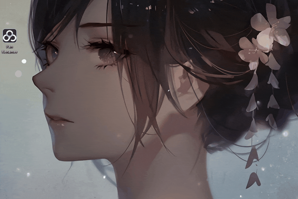 百度网盘多文件一键重命名软件+源码！