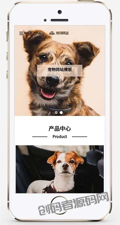 图片[2]-宠物商店宠物装备类网站pbootcms模板 宠物网站源码下载